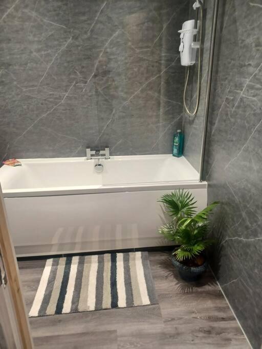 Beautiful Masons Hideaway Studio Apartment ブリジェンド エクステリア 写真